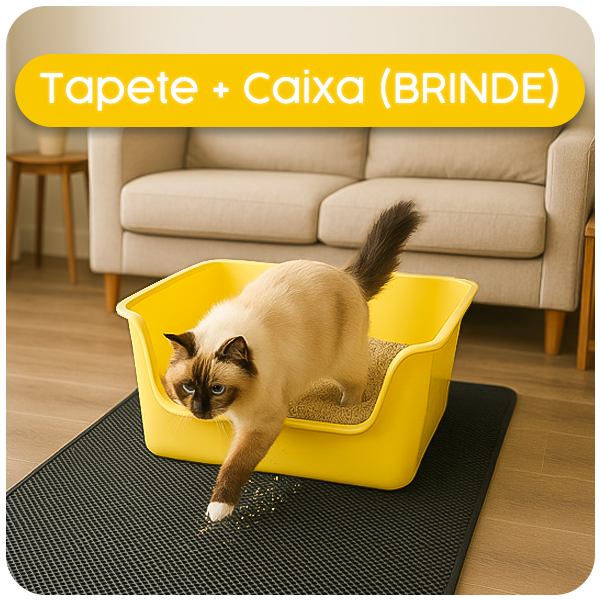 LEVE 2 PAGUE 1 - Tapete Limpa Patas + Caixa de Areia (Brinde)